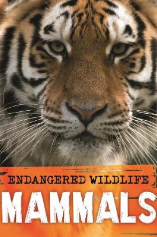 Cover of Endangered Wildlife: Rescuing Mammals