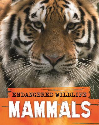 Book cover for Endangered Wildlife: Rescuing Mammals