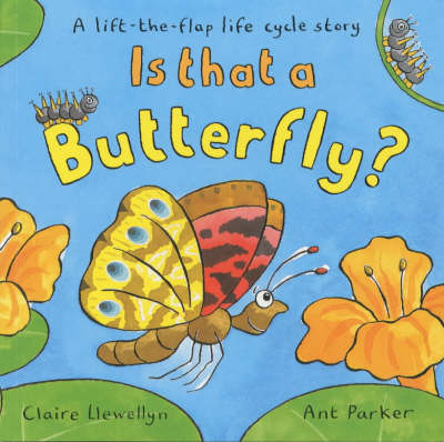 Book cover for Is That A Butterfly?Lift-The-Flap