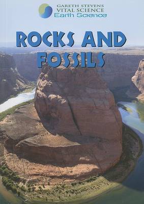 Book cover for Rocks and Fossils