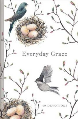 Cover of EVERYDAY GRACE