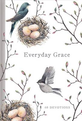 Book cover for EVERYDAY GRACE