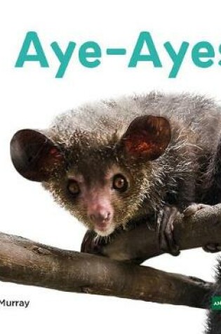 Cover of Aye-Ayes (Aye-Ayes)