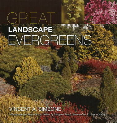 Book cover for Great Landscape Evergreens