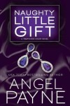 Book cover for Naughty Little Gift