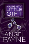 Book cover for Naughty Little Gift