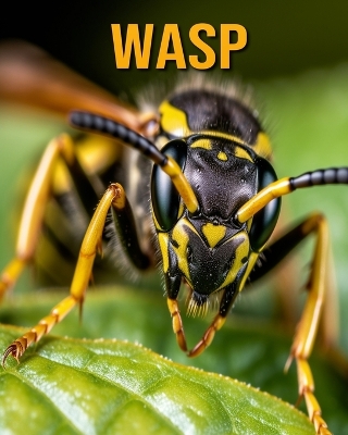 Cover of Wasp