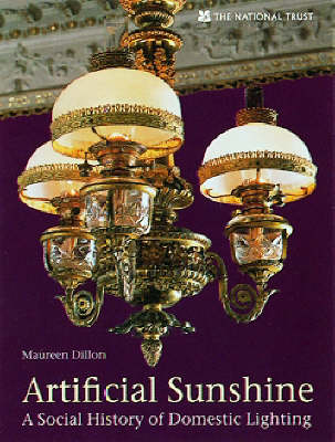 Book cover for Artificial Sunshine