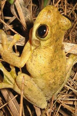 Book cover for Tyler's Tree Frog on the Forest Floor Journal