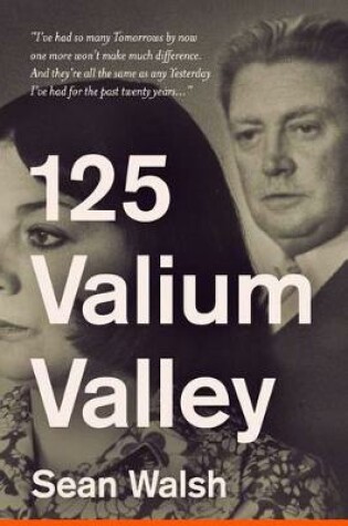 Cover of 125 Valium Valley