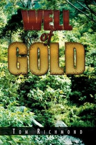 Cover of Well of Gold