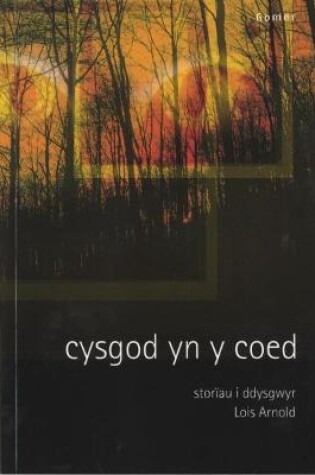 Cover of Cysgod yn y Coed - Storïau i Ddysgwyr