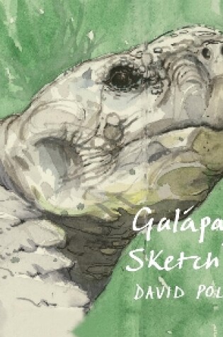 Cover of Galápagos Sketchbook