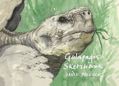 Book cover for Galápagos Sketchbook