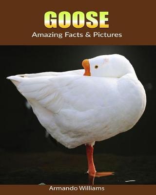 Book cover for Goose