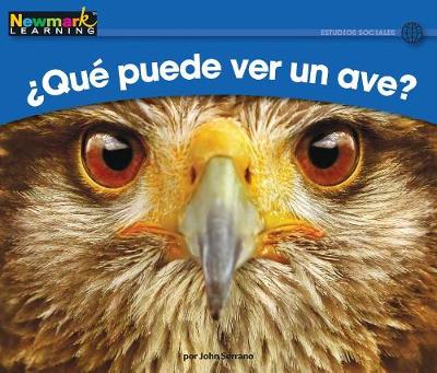 Book cover for +qut Puede Ver Un Ave? Leveled Text