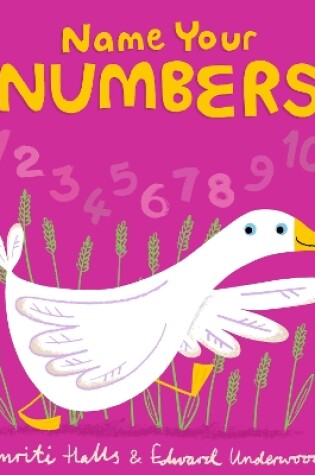 Cover of Name Your Numbers