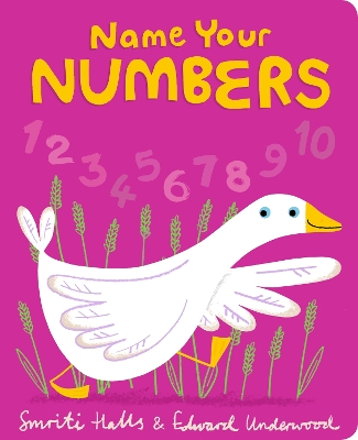 Book cover for Name Your Numbers