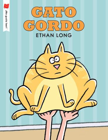 Book cover for Gato gordo