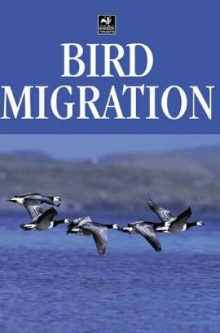 Cover of Bird Migration