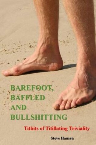 Cover of Barefoot, Baffled and Bullshitting