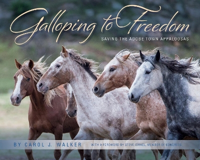 Book cover for Galloping to Freedom