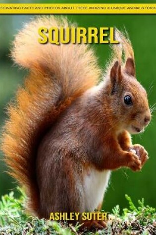 Cover of Squirrel