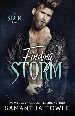 Book cover for Finding Storm