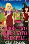 Book cover for Curse Two Birds with One Spell