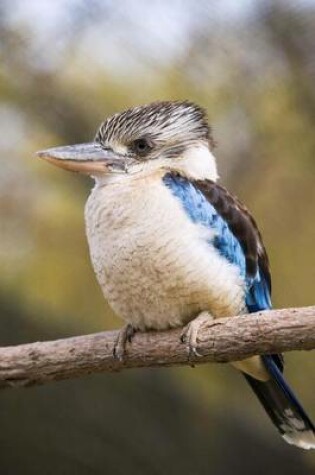 Cover of Blue Winged Kookaburra Australian Bird Journal