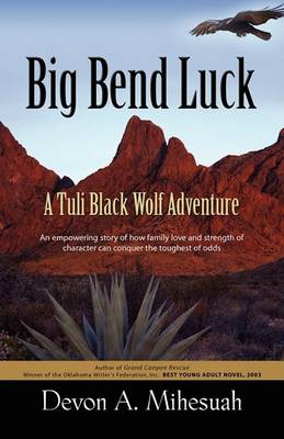 Book cover for Big Bend Luck