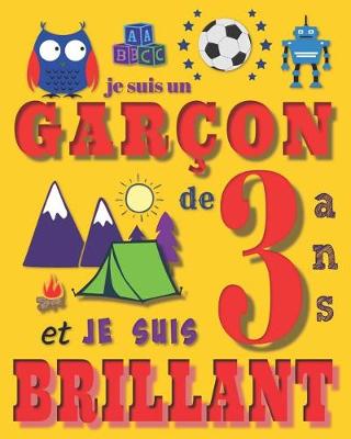 Book cover for Je suis un garçon de 3 ans et je suis brillant