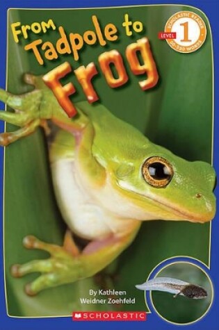 Cover of From Tadpole to Frog (Scholastic Reader, Level 1)