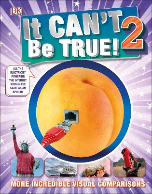 Book cover for It Can't Be True 2!