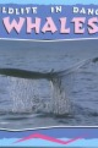 Cover of Whales