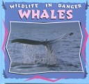 Book cover for Whales