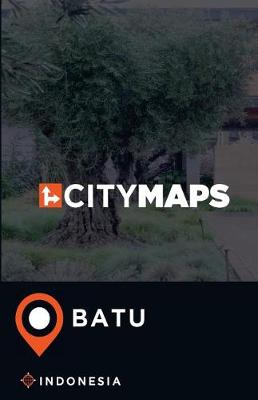 Book cover for City Maps Batu Indonesia