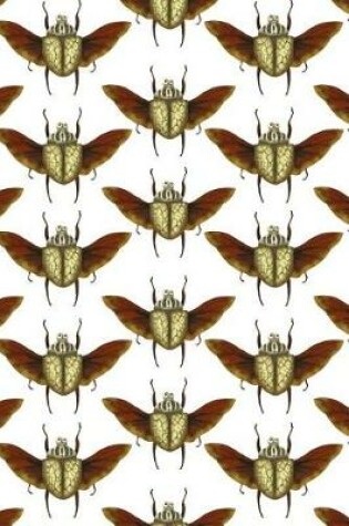 Cover of Beetles