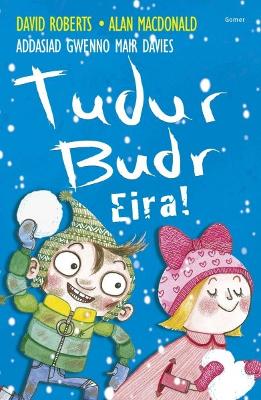 Book cover for Tudur Budr: Eira
