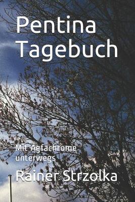 Book cover for Pentina Tagebuch