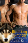 Book cover for Attracting Anthony