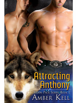 Cover of Attracting Anthony