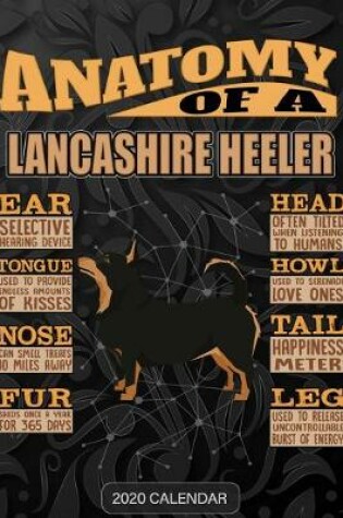 Cover of Anatomy Of A Lancashire Heeler