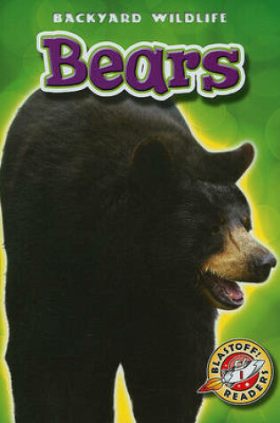 Cover of Bears