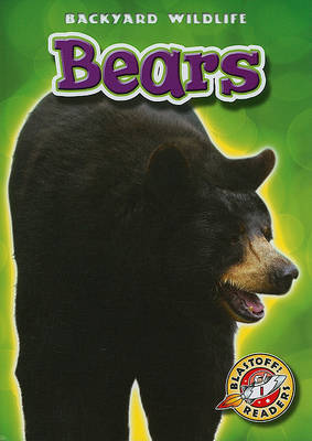 Cover of Bears