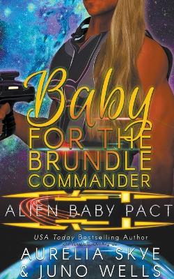 Cover of Baby For The Brundle Commander