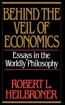 Book cover for Behind the Veil of Economics