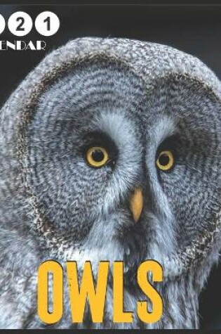 Cover of owls 2021 Calendar