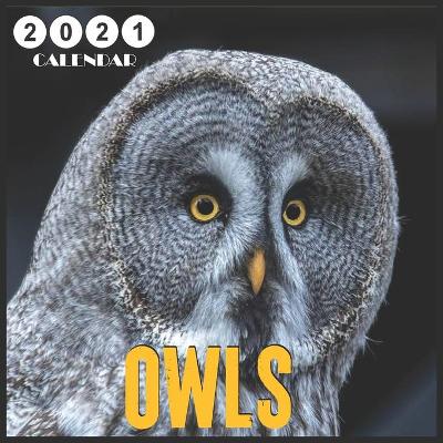 Book cover for owls 2021 Calendar