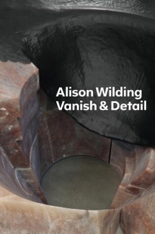 Cover of Alison Wilding: Vanish & Detail